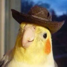 Fundraising Page: Genesis Cervantes